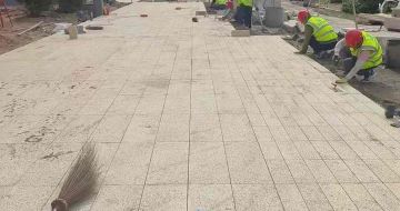 驻马店黄金麻荔枝面地铺案例