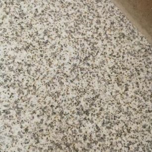 驻马店 黄金麻中黄光面