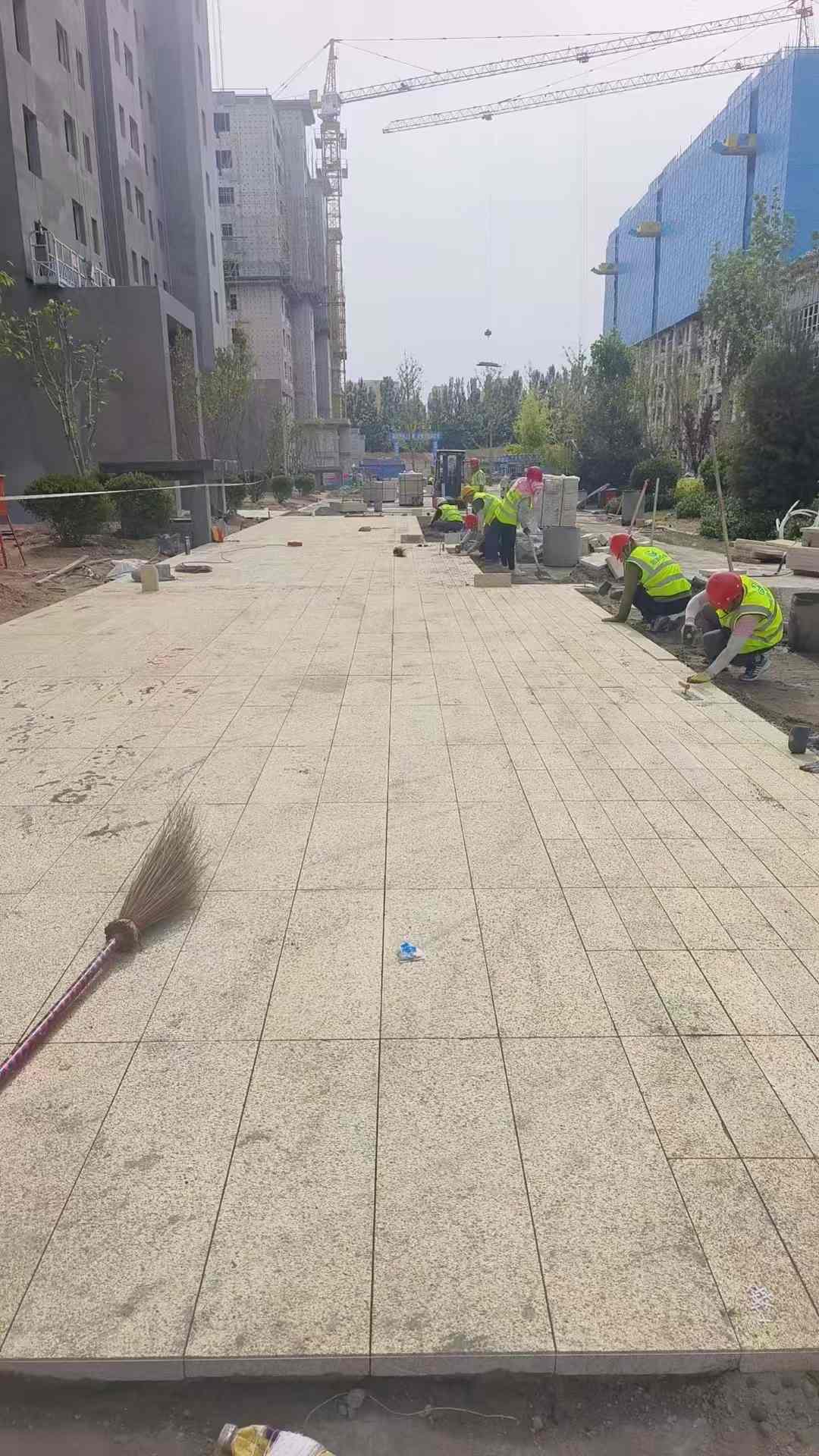 驻马店黄金麻荔枝面地铺案例