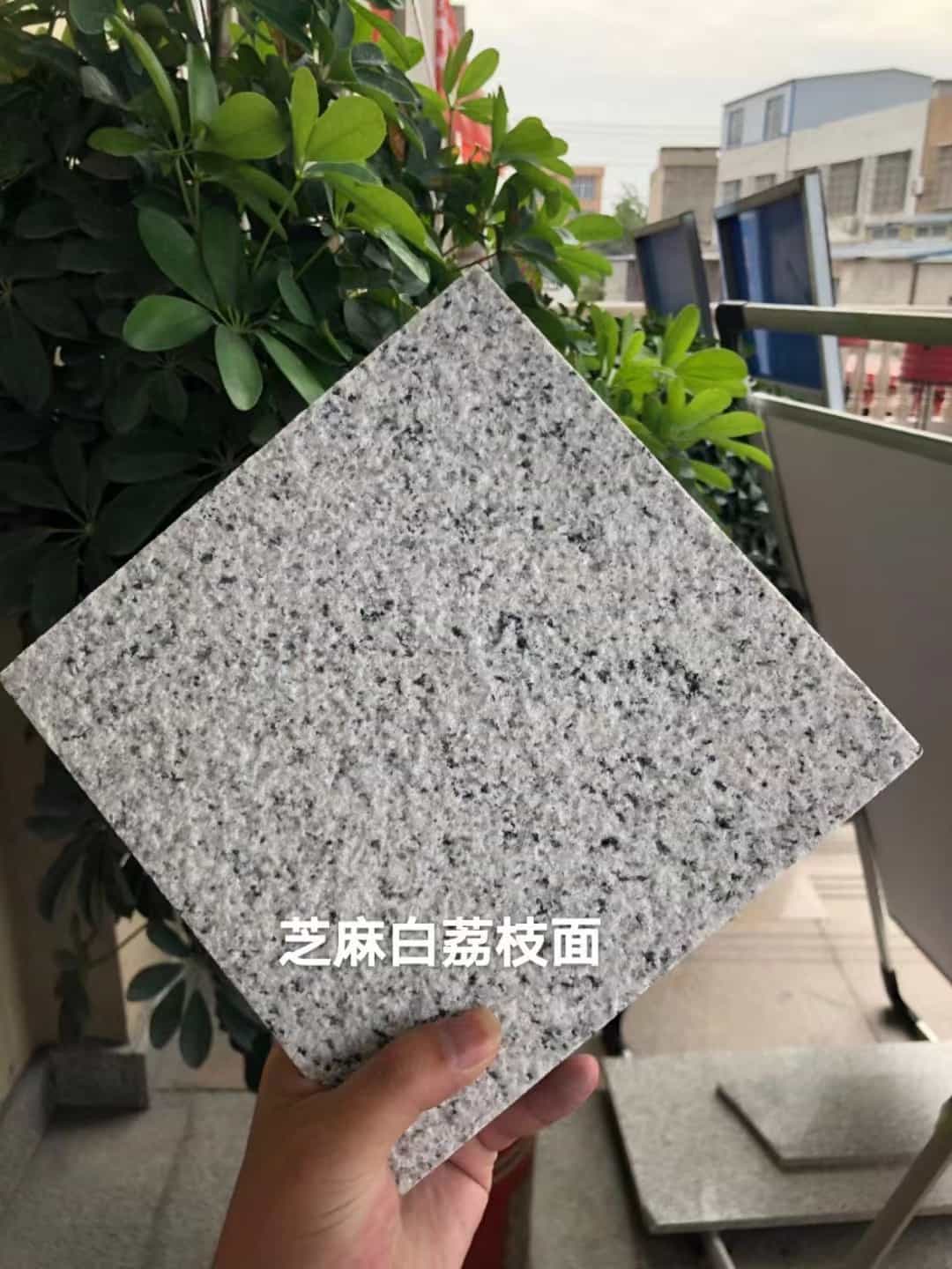 驻马店 芝麻白荔枝面干挂