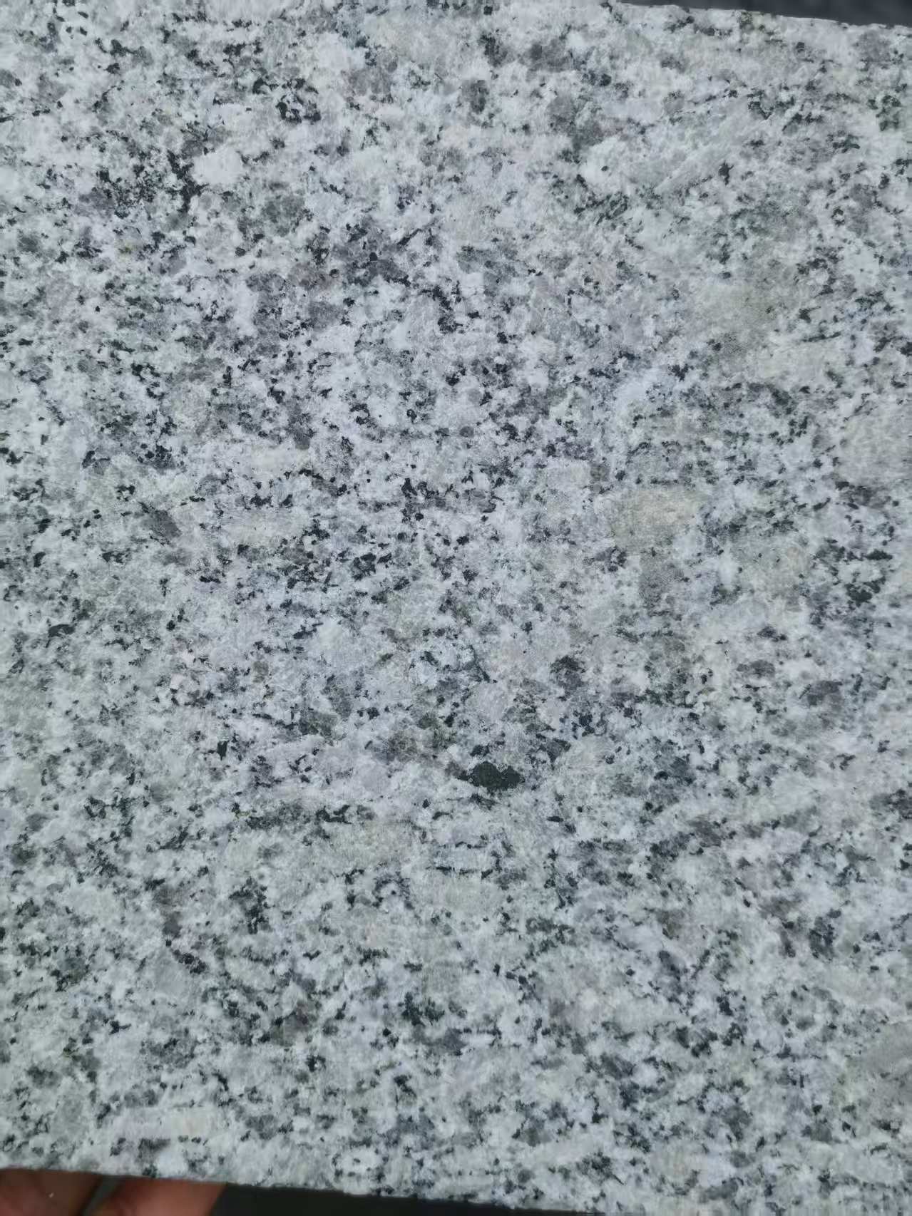 驻马店 芙蓉白火烧面